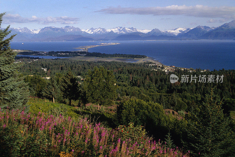 阿拉斯加的荷马斯吐和基奈山