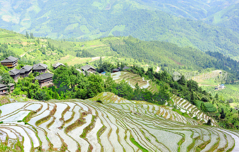 山谷中的梯田