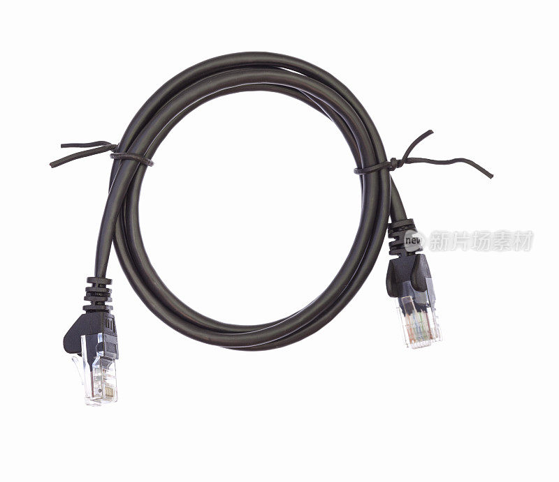黑色Lan电缆，插头在白色背景上