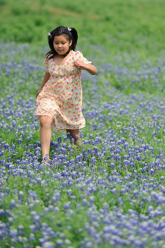 小女孩在一群矢车菊上奔跑