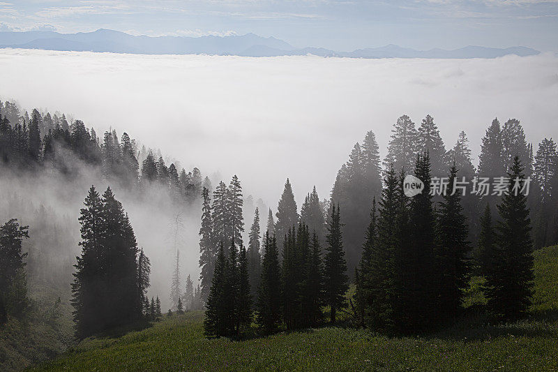 怀俄明州Fog