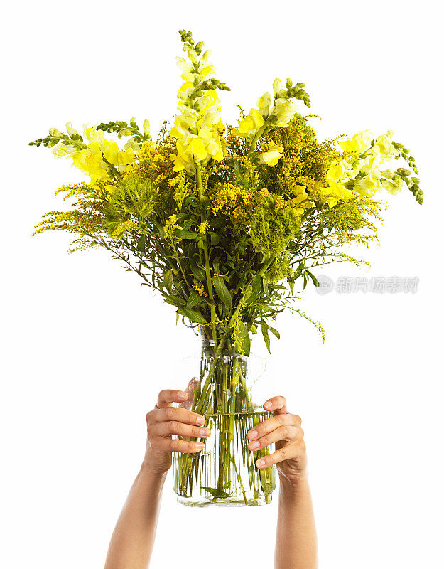 双手举起玻璃花瓶，里面插着黄绿色的花朵