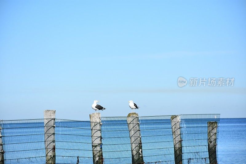 浪漫的波罗的海