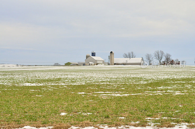 冬季的奶牛场