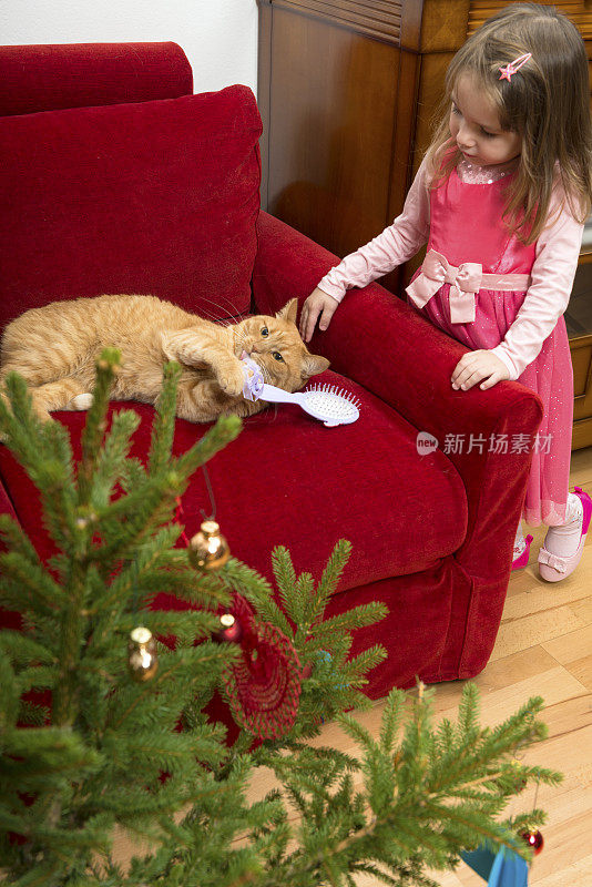 粉红色的女孩看玩猫，圣诞节，欧洲