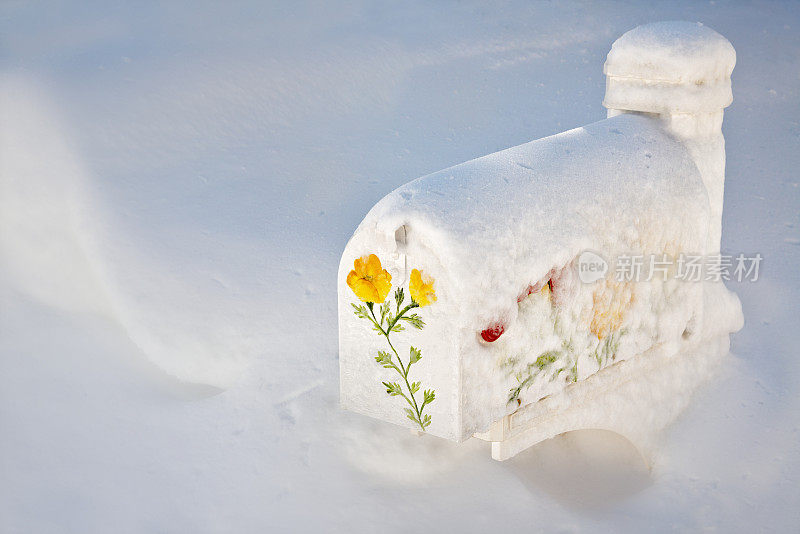 雪地里的邮箱