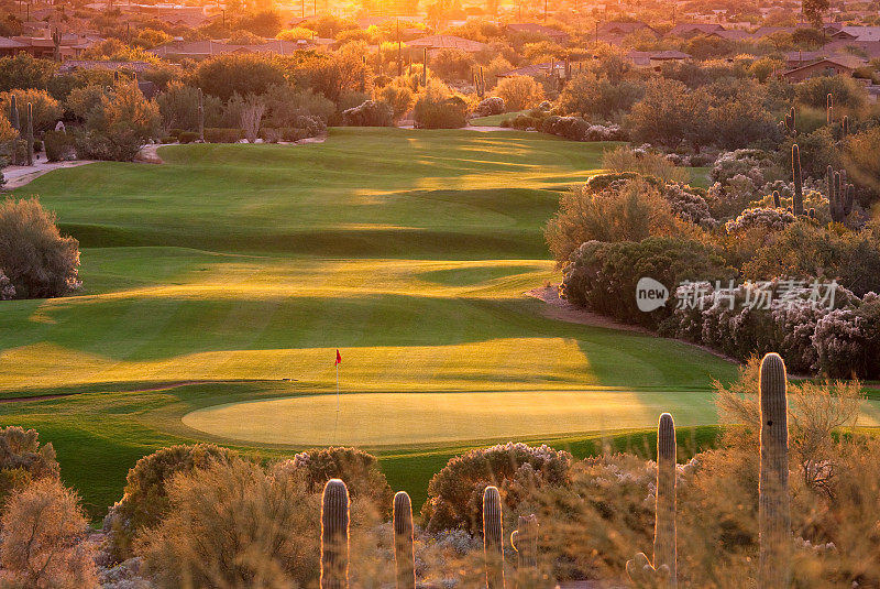 美丽的背光沙漠高尔夫球场在亚利桑那州凤凰城