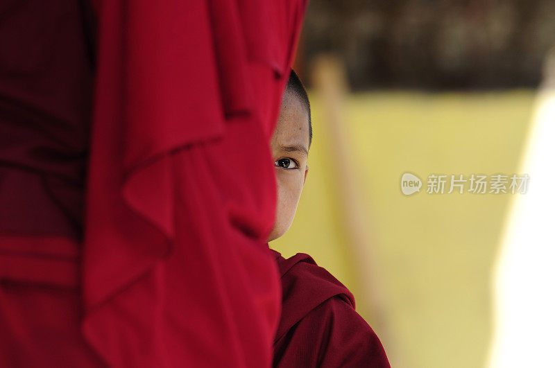 西藏小和尚在红袍后面看