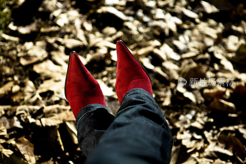 红色的礼服鞋。彩色图像