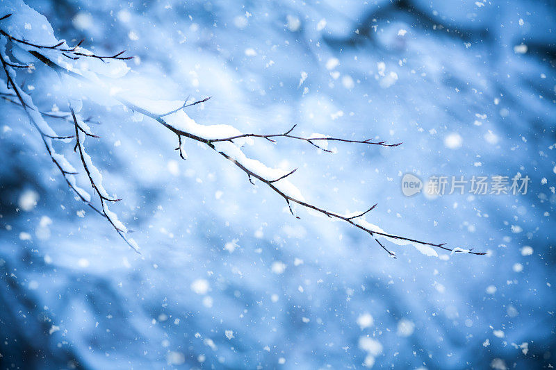 降雪