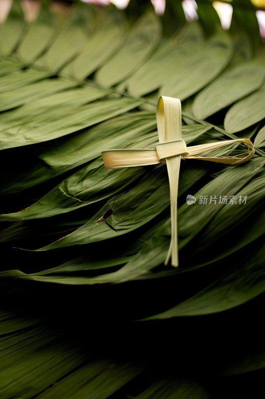 四旬斋的十字符号在一堆绿色棕榈叶上