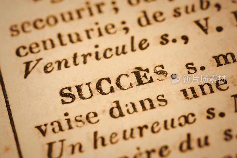 成功:法语字典特写