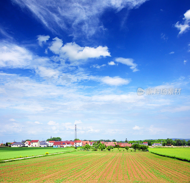 法国的风景