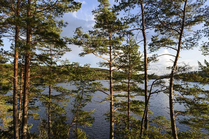 瑞典自然场景