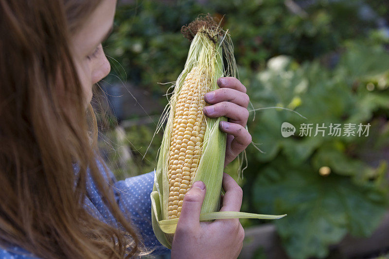 抱着刚摘下来的玉米棒或玉米的年轻女孩