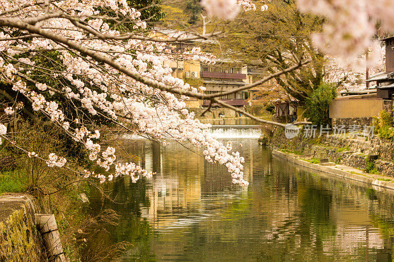 日本京都的岚山公园