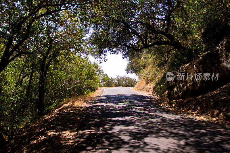 古老的道路穿过森林树木和河流