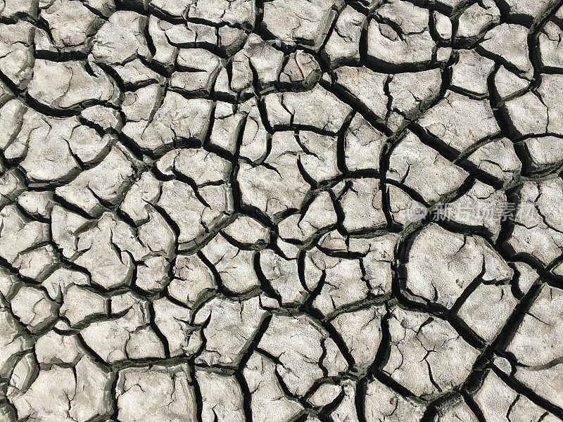 全球变暖导致土壤干燥