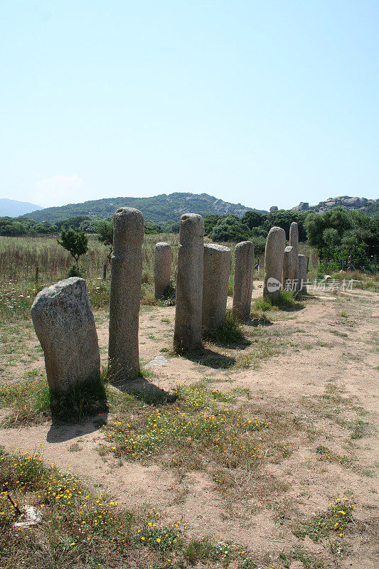 科西嘉岛的古代梅尼尔