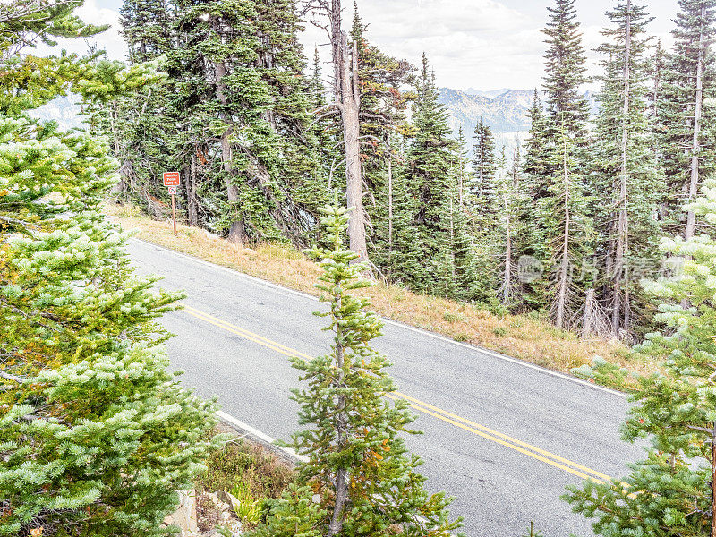 通往雷尼尔山的蜿蜒道路