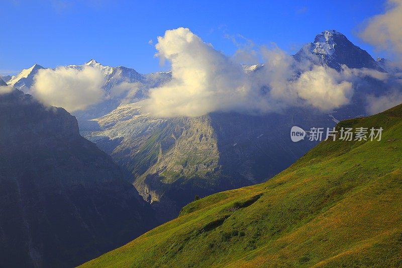 艾格，格林德沃山谷景观之上田园诗般的高山草甸:瑞士阿尔卑斯山