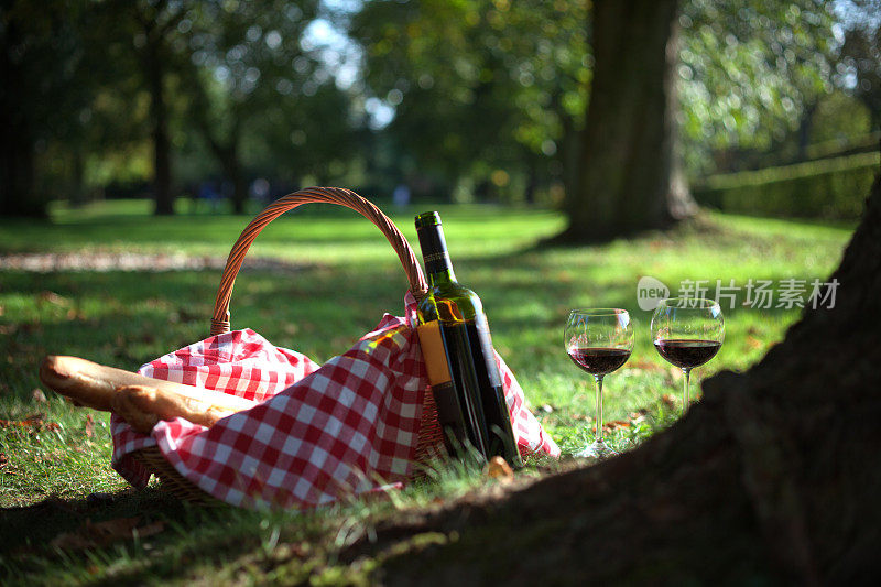 野餐篮，法式长棍面包和草地上的葡萄酒