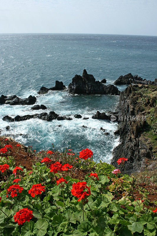 马德拉的海岸线