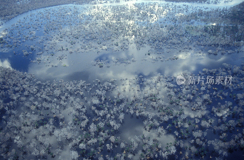 亚马逊热带雨林