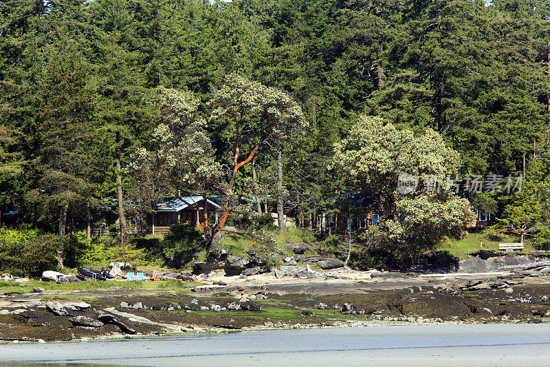 完美小屋之旅