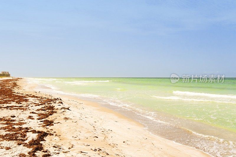 佛罗里达海湾沿岸无尽的细沙海滩
