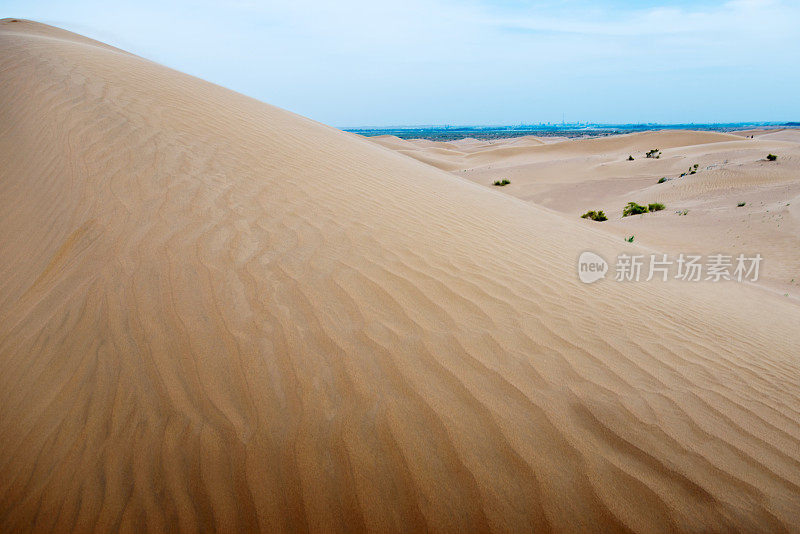 以海浪为背景