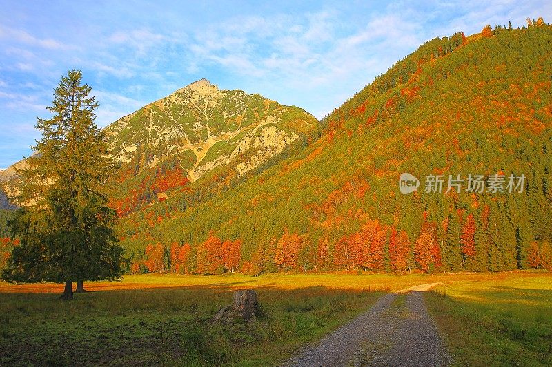 在奥地利Tirol，靠近Karwendel山脉和巴伐利亚阿尔卑斯在德国雄伟的高山景观在金色的秋天，戏剧性的Tirol山脉全景和田园式的Tirol草地，奥地利