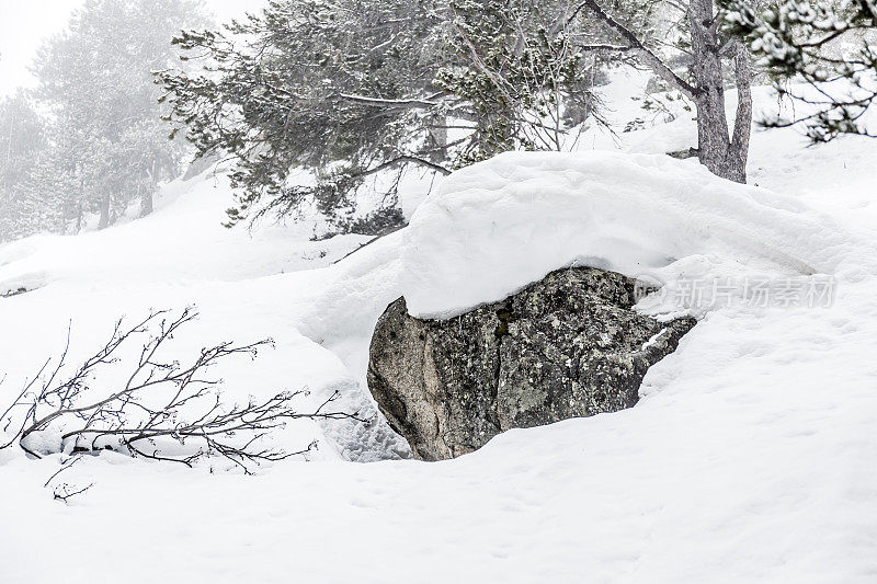 冬天的风景被雪覆盖