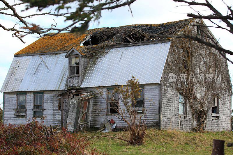 位于加拿大新斯科舍省雅茅斯县的老房子正在倒塌。