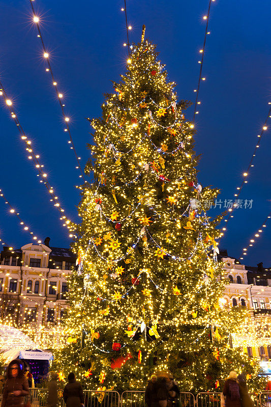 基辅一棵圣诞树上的彩灯
