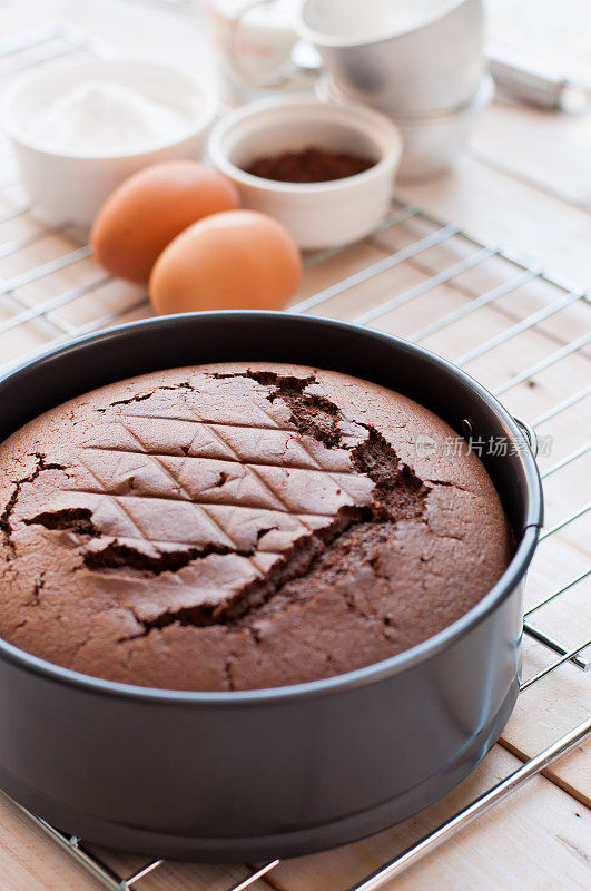 巧克力蛋糕在蛋糕形式的木制背景