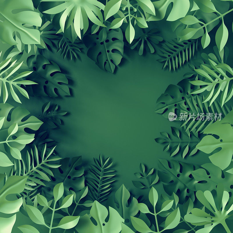 3d渲染，热带树叶，蓝色场景背景，丛林，框架