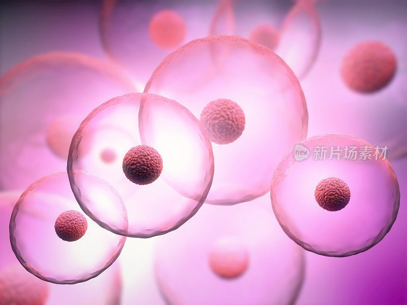 紫色背景上的细胞核透明细胞的3d插图