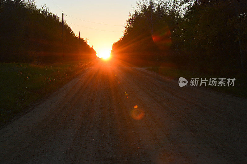 夕阳照亮了宁静的乡间小路上的晨雾