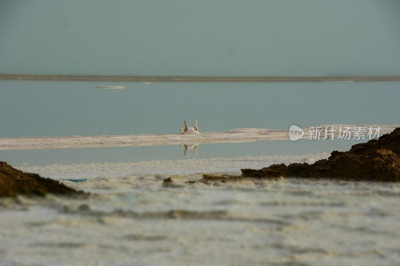 以色列死海