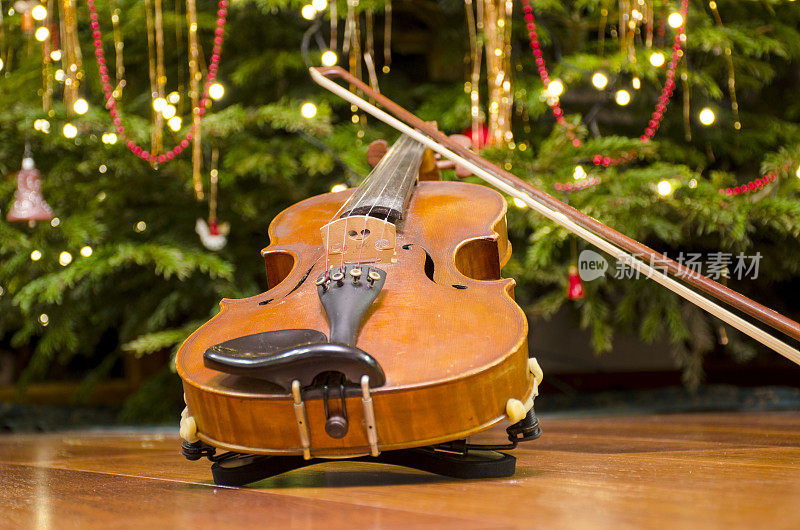 装饰圣诞树的小提琴前面。