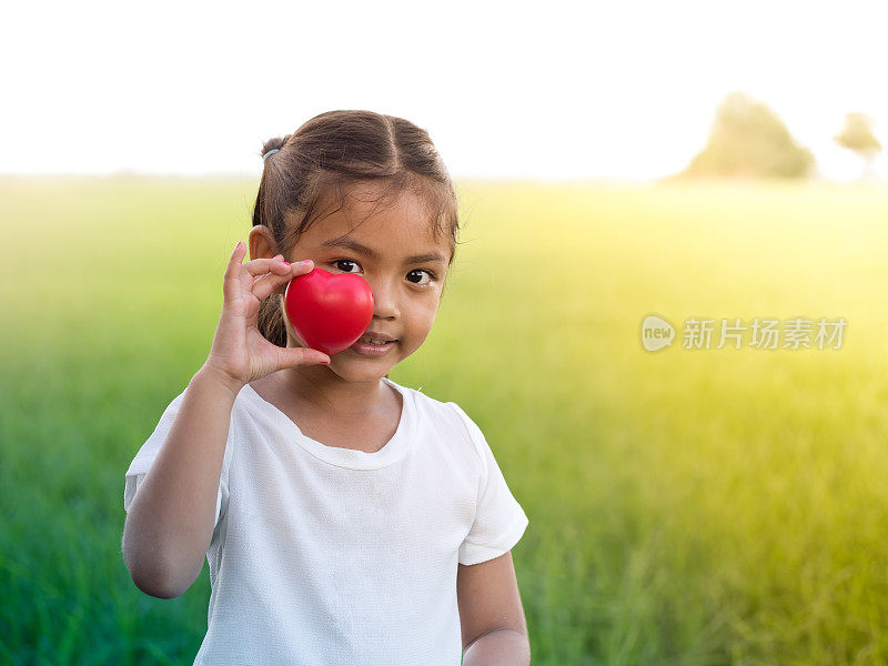 快乐的小亚洲女孩抱着红色的心和微笑。