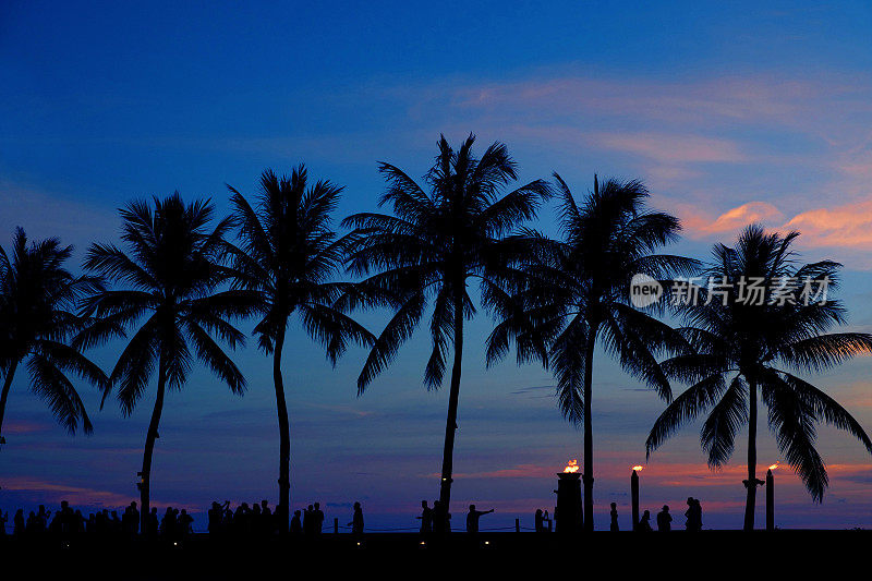 海滩上的椰子树剪影