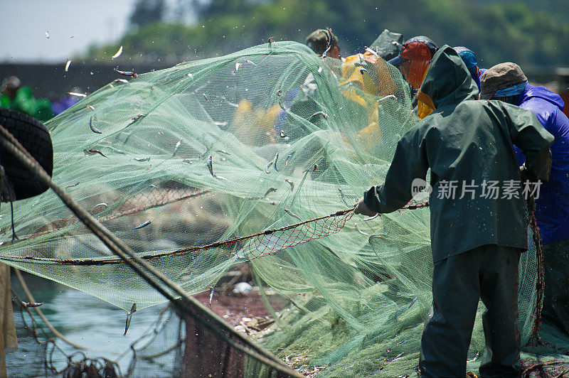 鳀鱼渔网