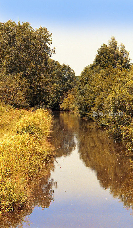 运河拖道绿色郁郁葱葱的河流风景和景观拍摄35mm彩色胶片与徕卡相机