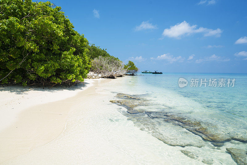 位于印度洋马尔代夫的小岛Fulidhoo离Maafushi岛不远，沙滩上白沙、蓝绿色的海水和蓝天为背景