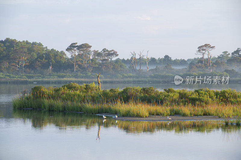 Chincoteague岛的风景