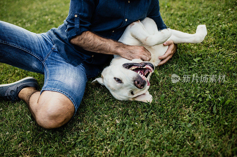 盖伊和他的狗，拉布拉多猎犬，院子里