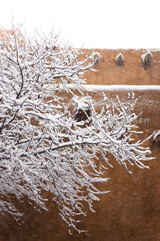 圣塔菲，NM:暴风雪中的土坯建筑和树