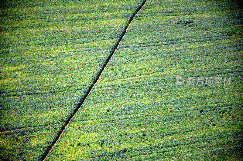 从直升机上看几何种植园